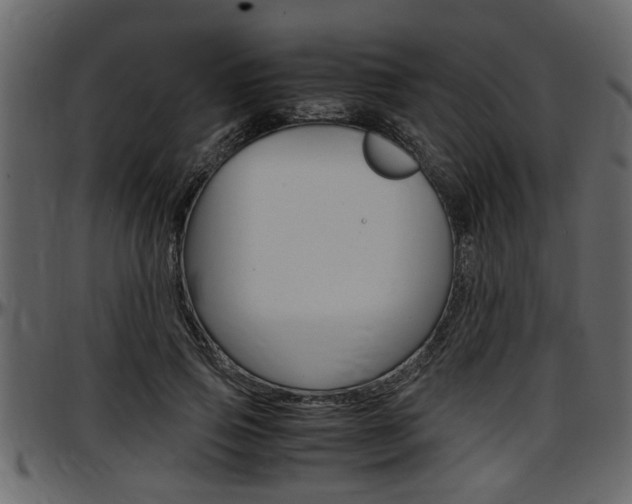 X0000097600741200802290731