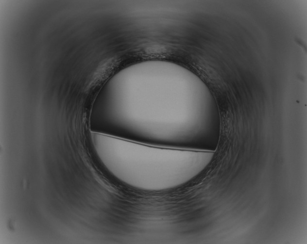 X0000097600742200802290731