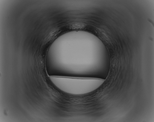 X0000097600743200802290732
