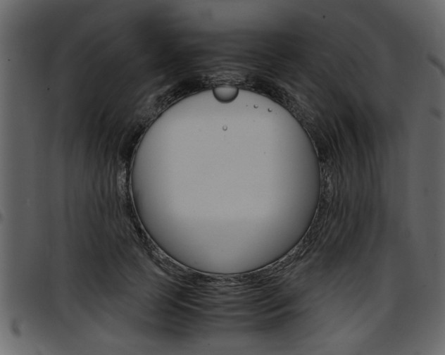 X0000097600745200802290732