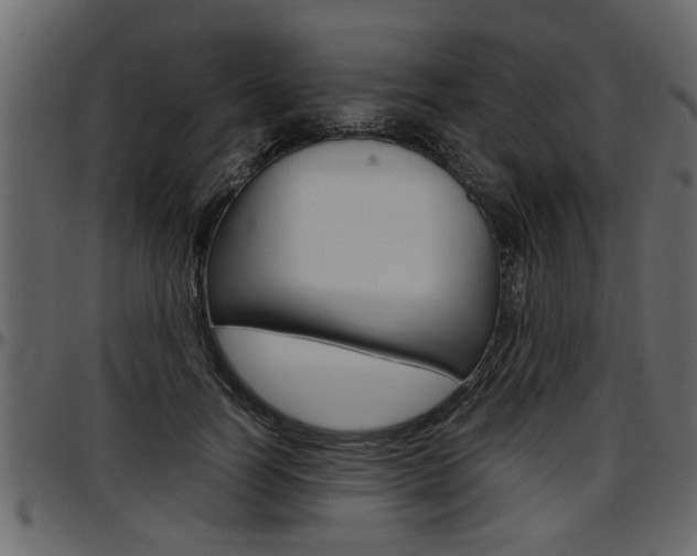X0000097600746200802290732