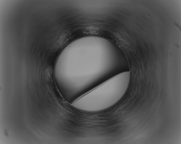 X0000097600747200802290732