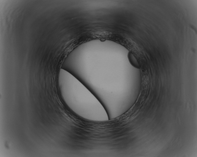 X0000097600749200802290732