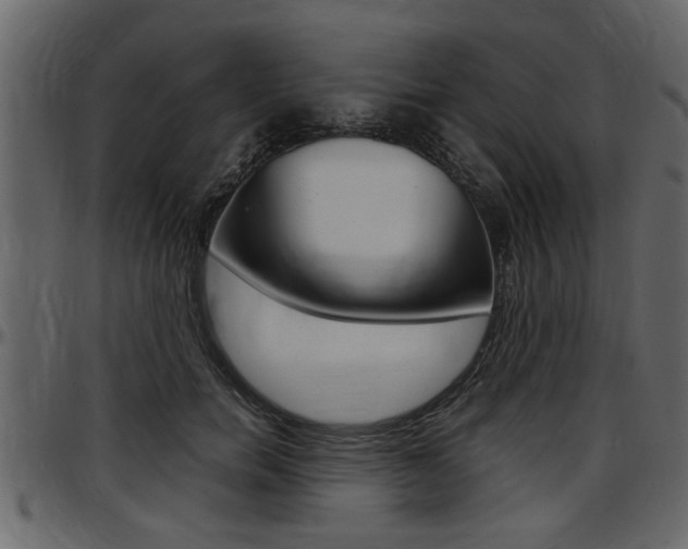 X0000097600750200802290732