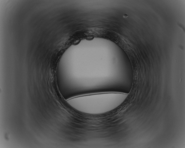 X0000097600751200802290732