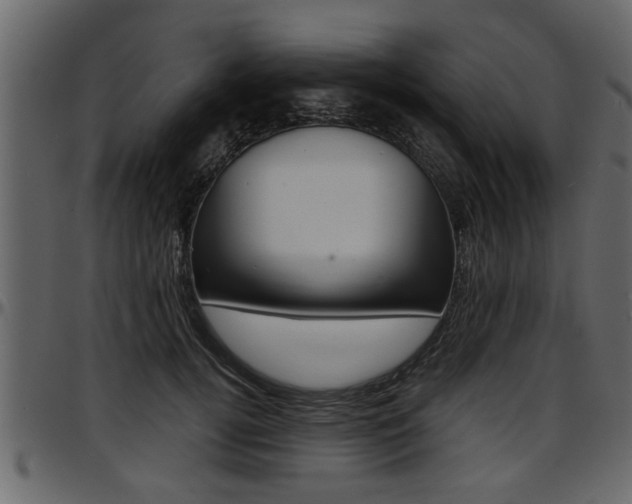 X0000097600752200802290732