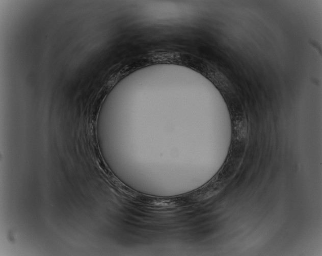 X0000097600753200802290732