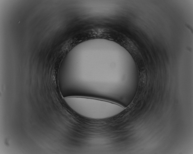 X0000097600754200802290732
