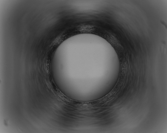 X0000097600755200802290732