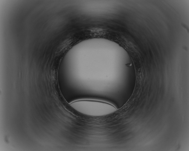 X0000097600756200802290732