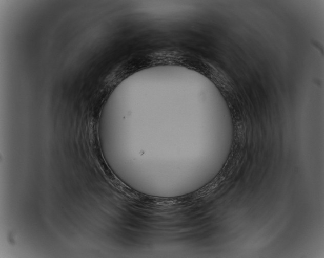 X0000097600757200802290732