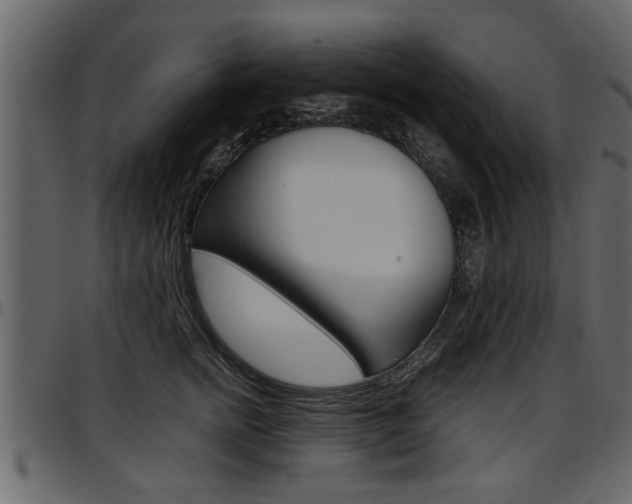 X0000097600758200802290732