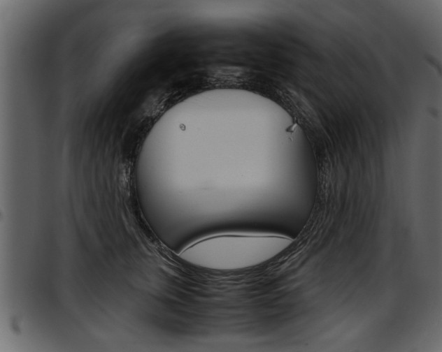 X0000097600759200802290732