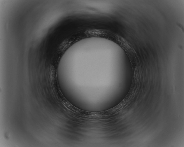 X0000097600760200802290732
