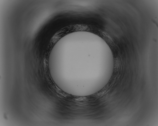 X0000097600761200802290732