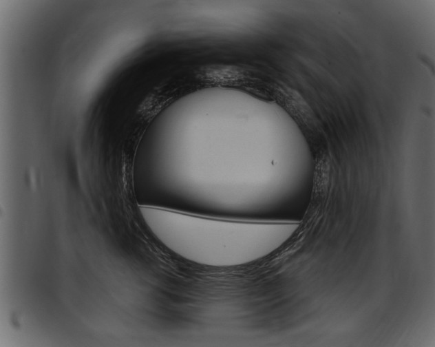 X0000097600762200802290732