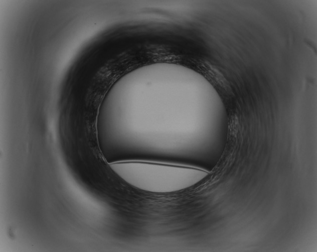 X0000097600763200802290732