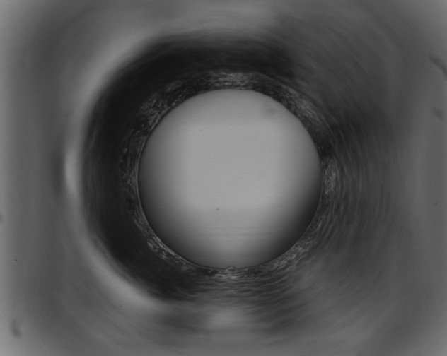 X0000097600764200802290732