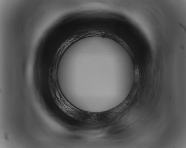 X0000097600765200802290732