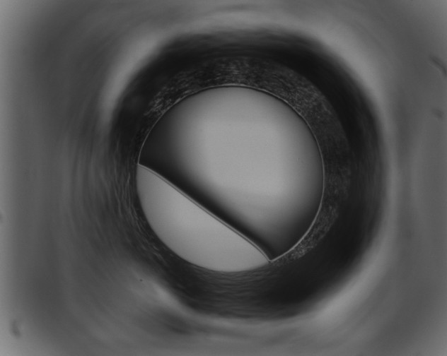 X0000097600766200802290732