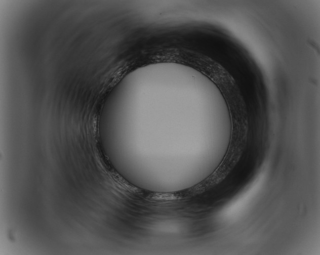 X0000097600767200802290732