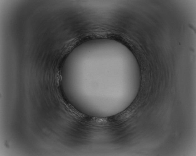 X0000097600768200802290732