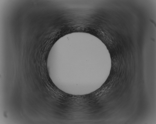 X0000097600769200802290731