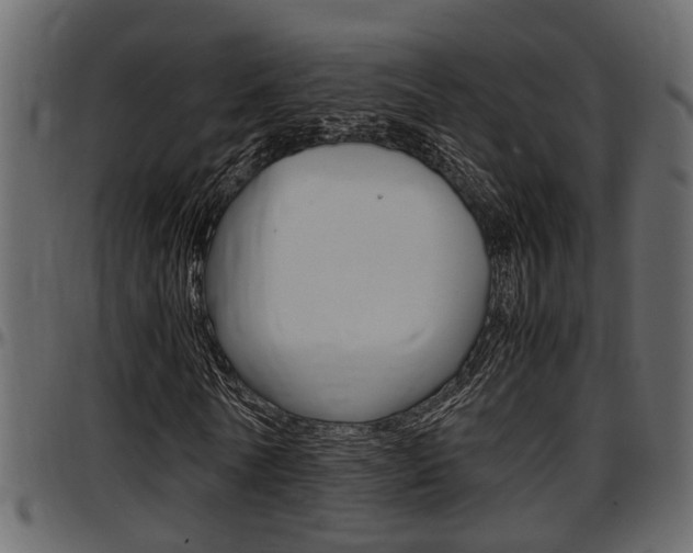 X0000097600770200802290731