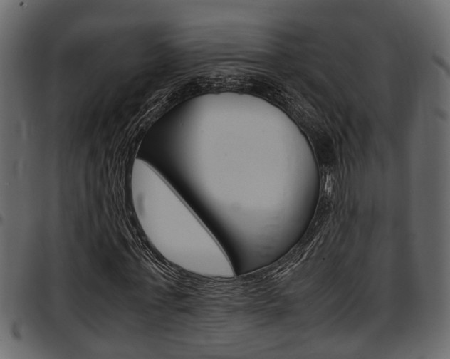 X0000097600771200802290731