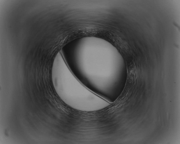 X0000097600772200802290731