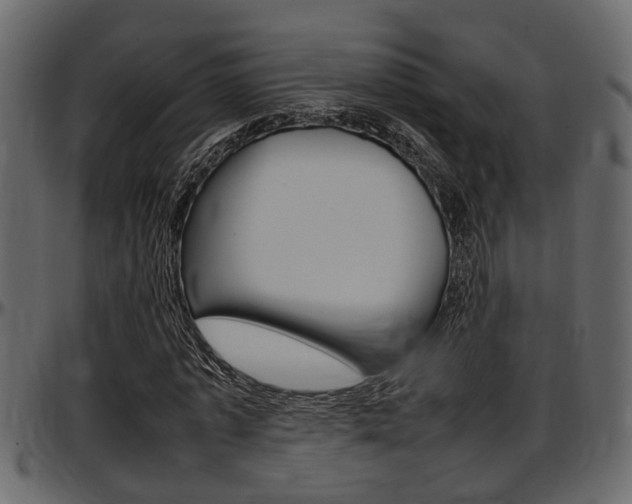 X0000097600773200802290731