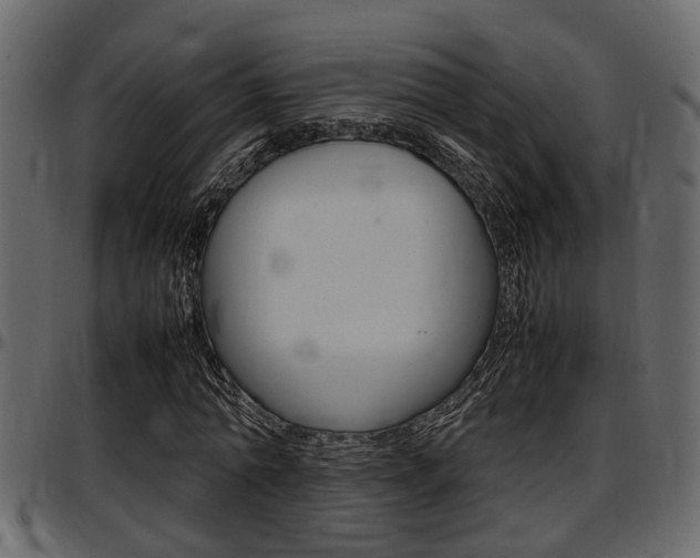 X0000097600774200802290731