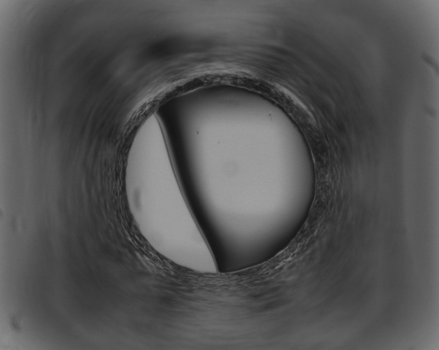 X0000097600775200802290731