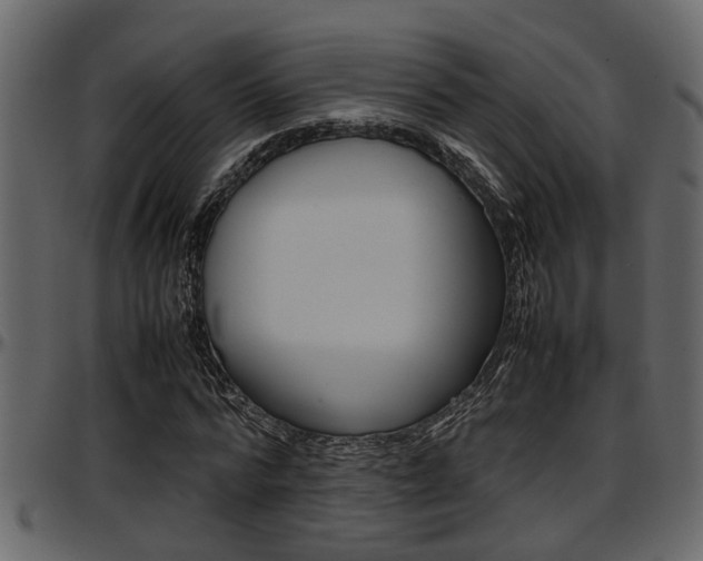 X0000097600776200802290731