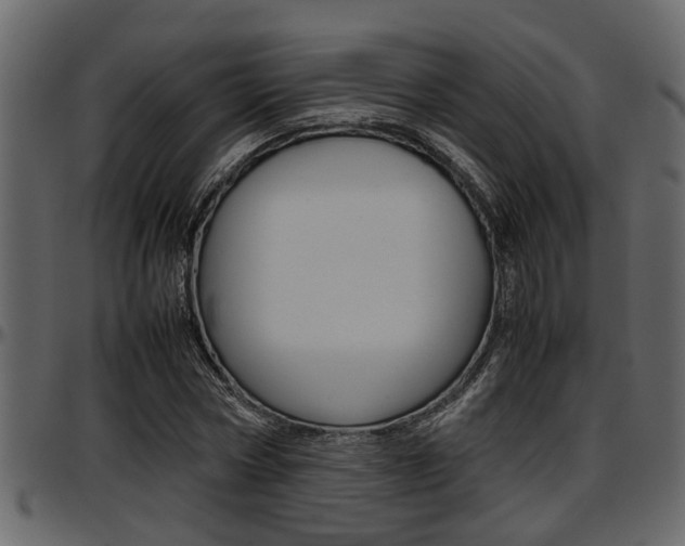 X0000097600778200802290731