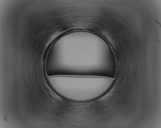 X0000097600779200802290731