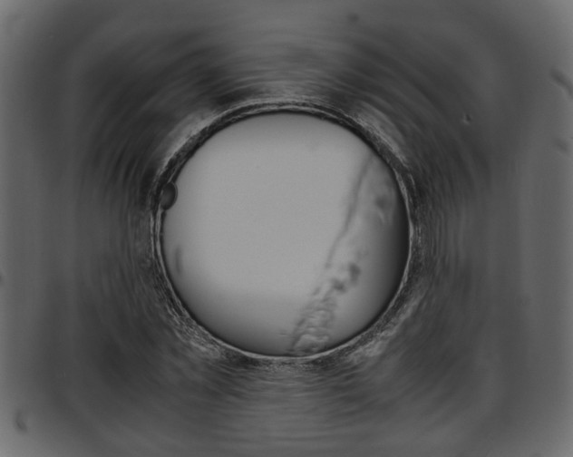 X0000097600781200802290731