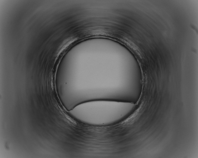 X0000097600782200802290731
