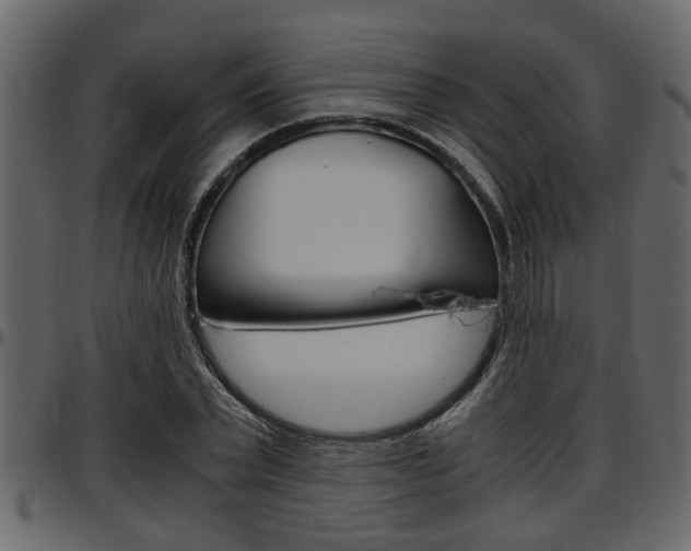 X0000097600783200802290731