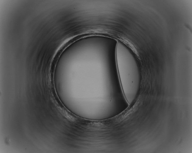 X0000097600784200802290731
