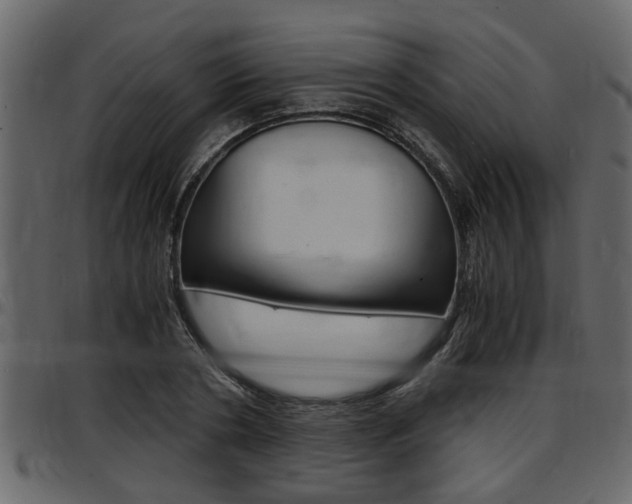 X0000097600786200802290731