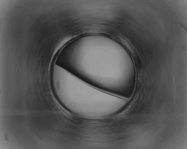 X0000097600787200802290731