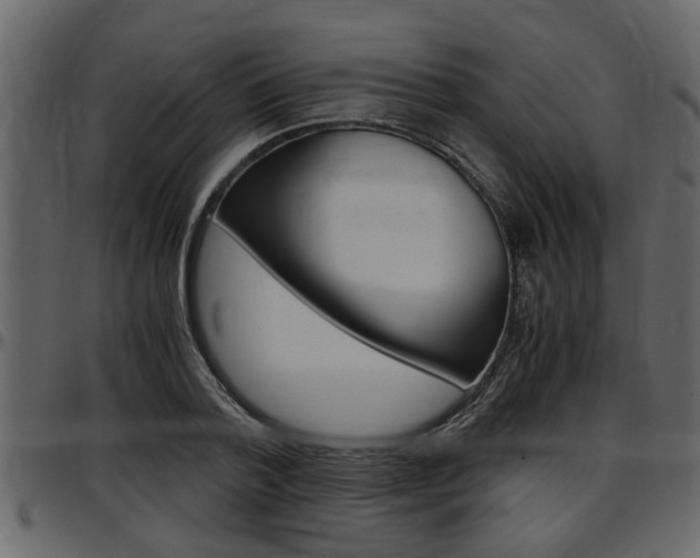 X0000097600788200802290731