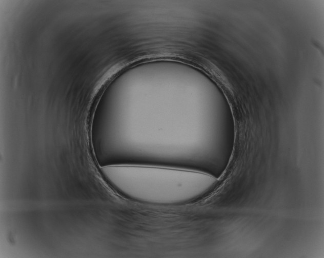 X0000097600789200802290731