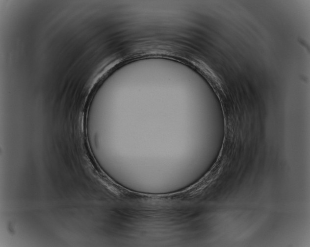 X0000097600790200802290731