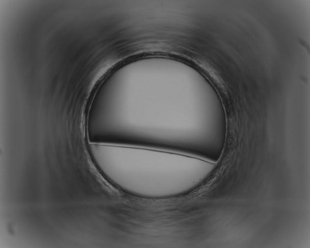 X0000097600791200802290731
