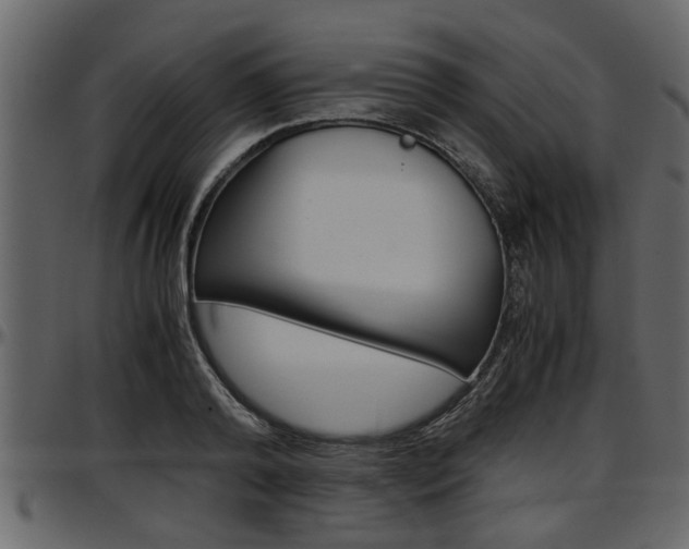 X0000097600792200802290731