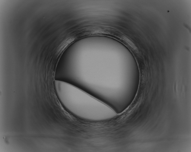 X0000097600793200802290731