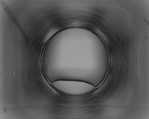X0000097600794200802290731