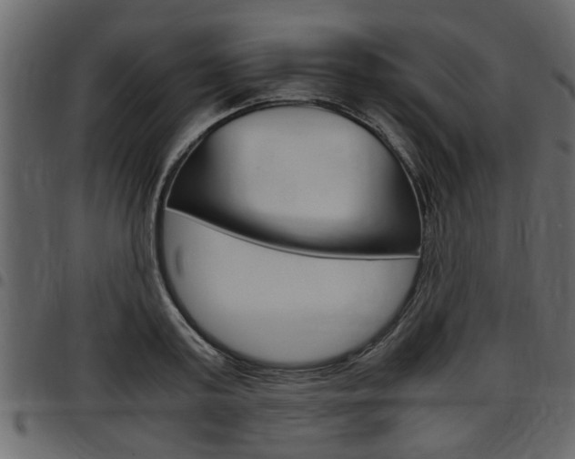 X0000097600795200802290731